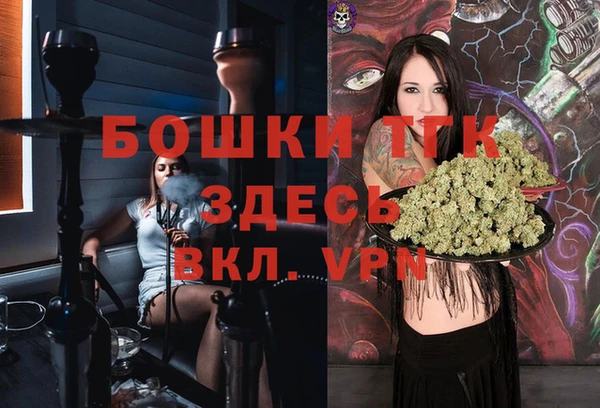 индика Абаза