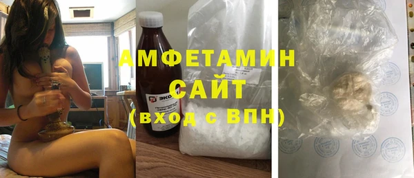 индика Абаза