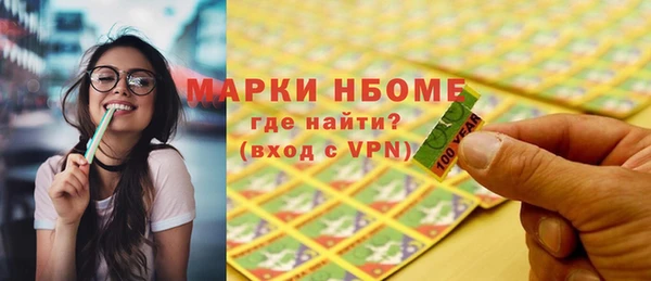 индика Абаза
