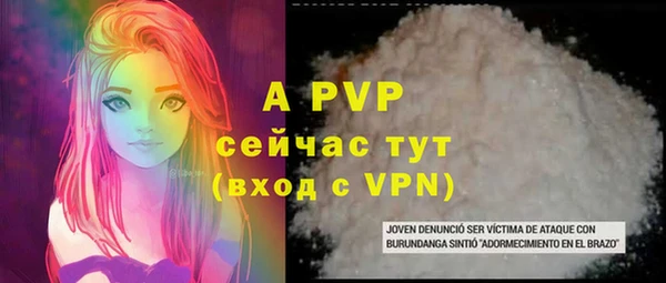 индика Абаза