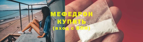 индика Абаза