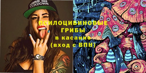 амф Абинск