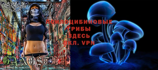 индика Абаза