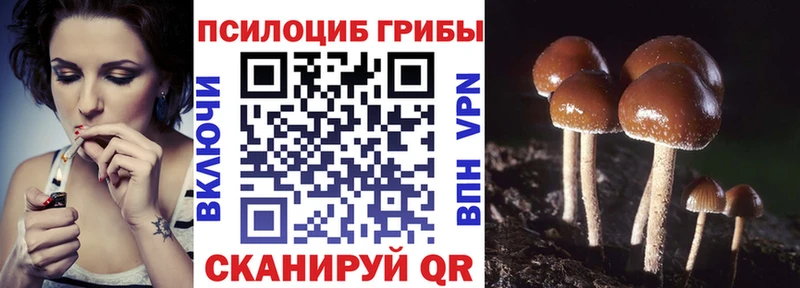 сайты даркнета клад гидра Алдан Псилоцибиновые грибы Magic Shrooms